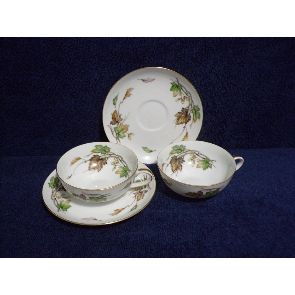 Wentworth China Autumn Pattern Cup & Saucer Set #7516 Service for 2